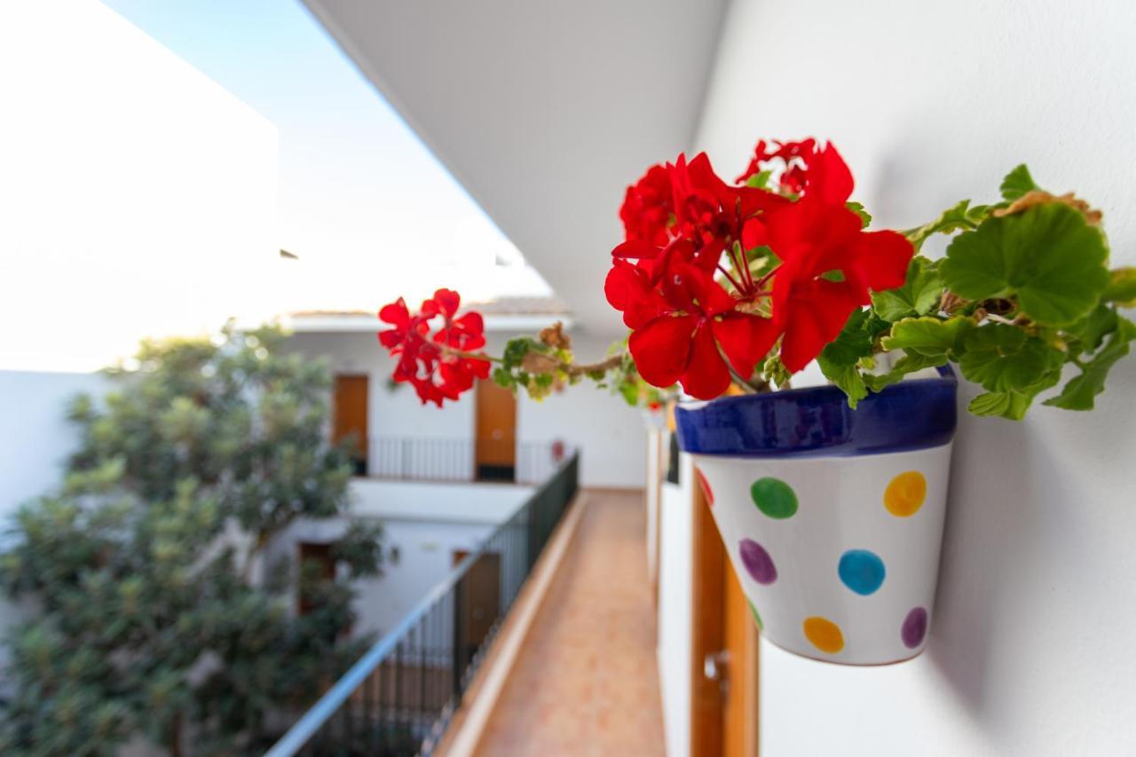 Hotel Oasis Atalaya コニル・デ・ラ・フロンテラ エクステリア 写真