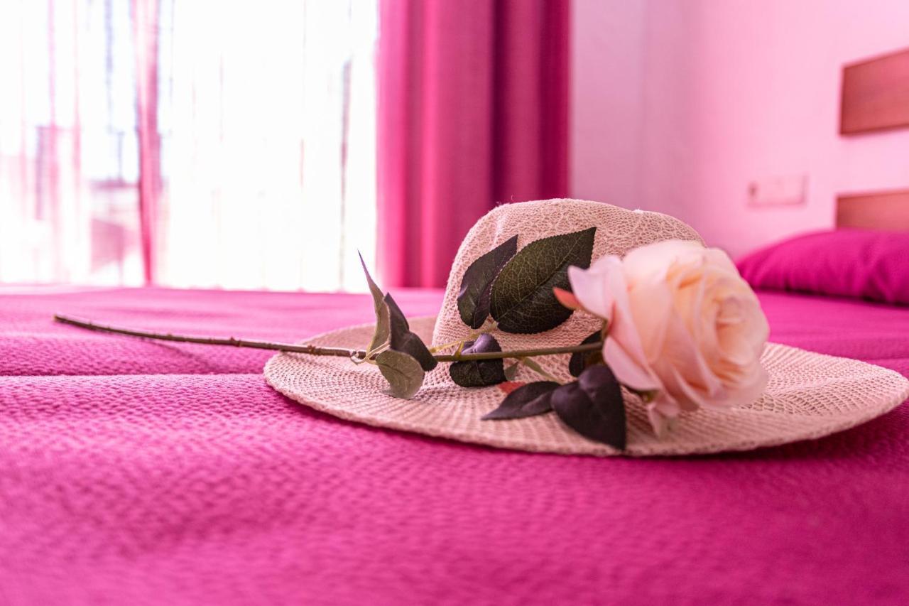 Hotel Oasis Atalaya コニル・デ・ラ・フロンテラ エクステリア 写真