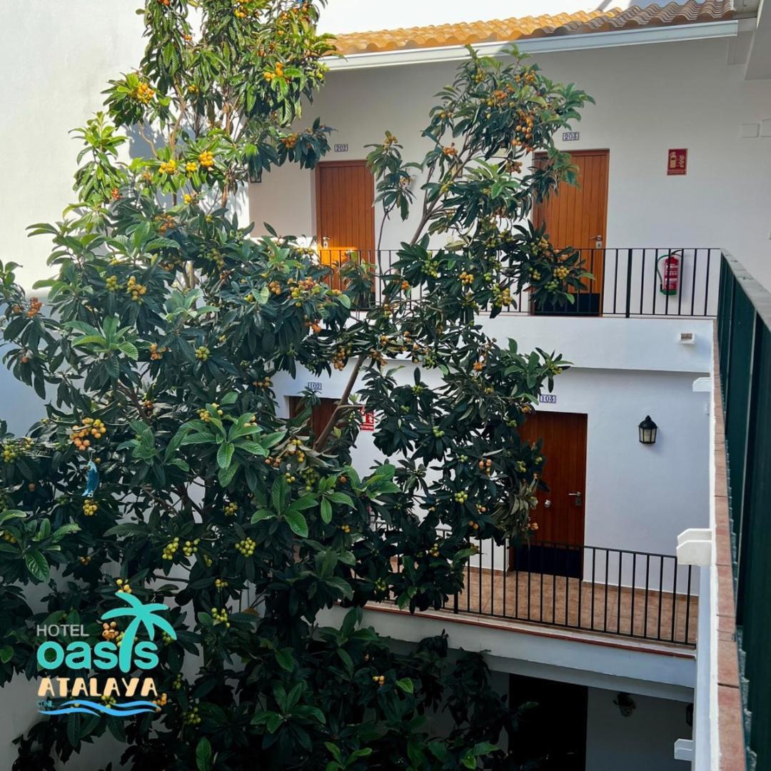 Hotel Oasis Atalaya コニル・デ・ラ・フロンテラ エクステリア 写真
